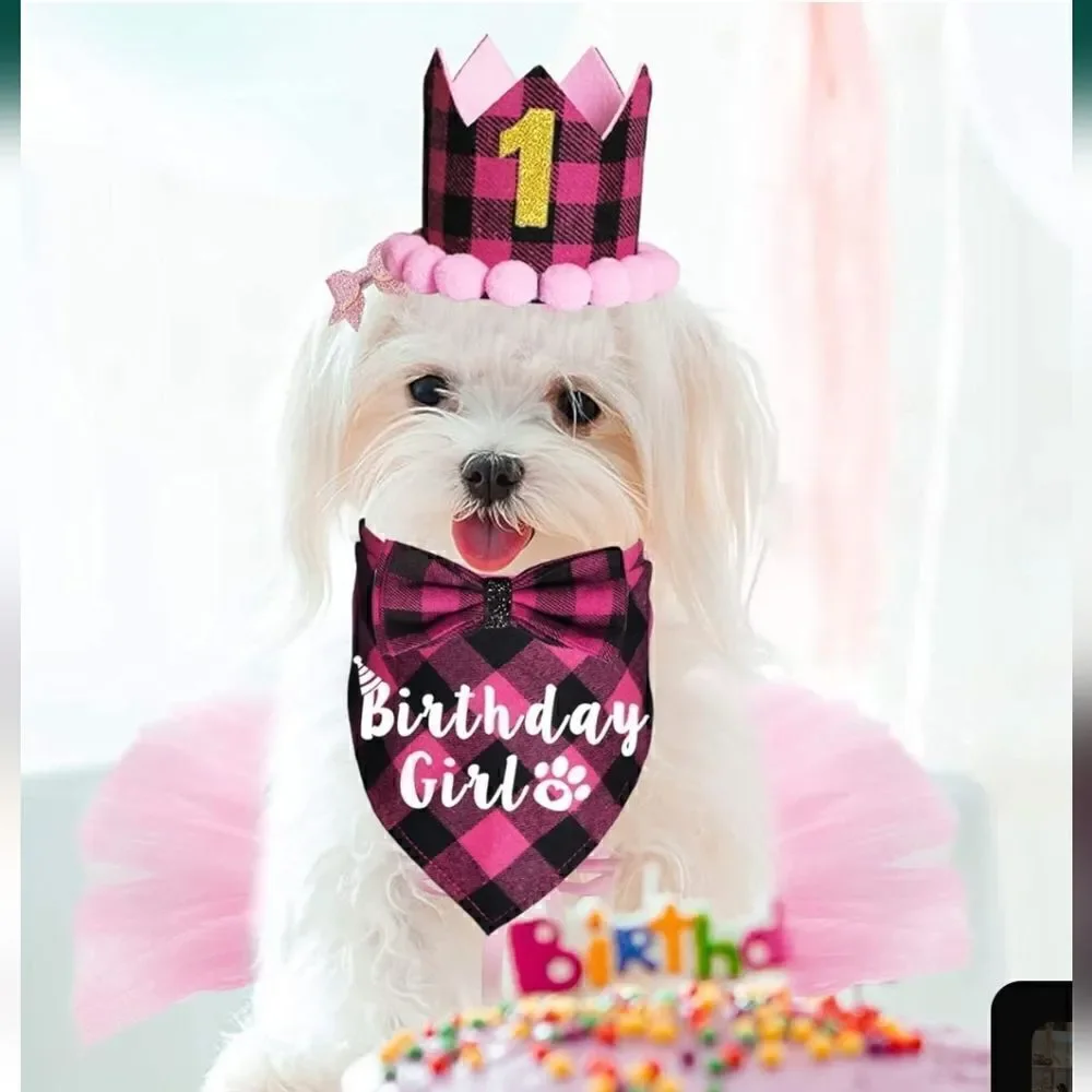 Dog Birthday Party Supplies, Plaid Dog Birthday Bandana Girl Pink